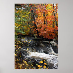 Autumn Waterfall Poster