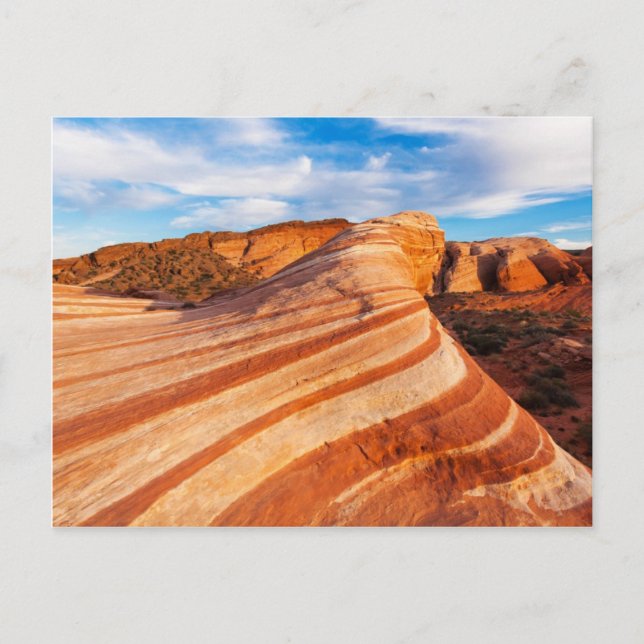 Autumn Wave Postcard (Front)