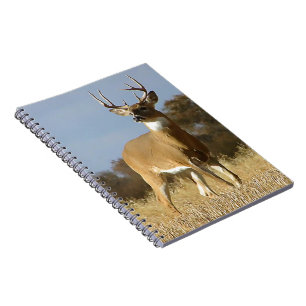 Autumn Whitetail Buck Spiral Notebook