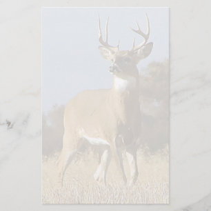 Autumn Whitetail Buck Stationery