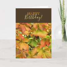 Autumn wild grapevine leaves