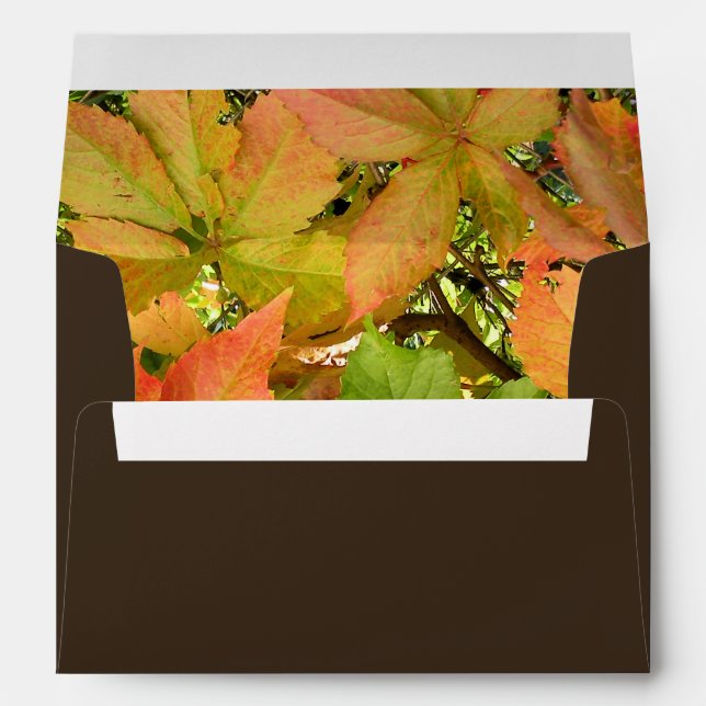 Autumn wild grapevine leaves envelope (Back (Bottom))