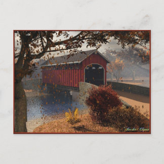 Autumn Winds Postcard