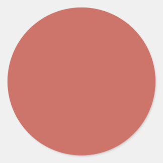 Autumn Winter Colour Burnt Sienna Classic Round Sticker