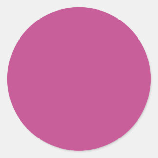 Autumn Winter Colour Rose Violet Classic Round Sticker