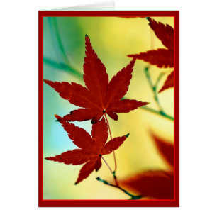 AUTUMN WISHES
