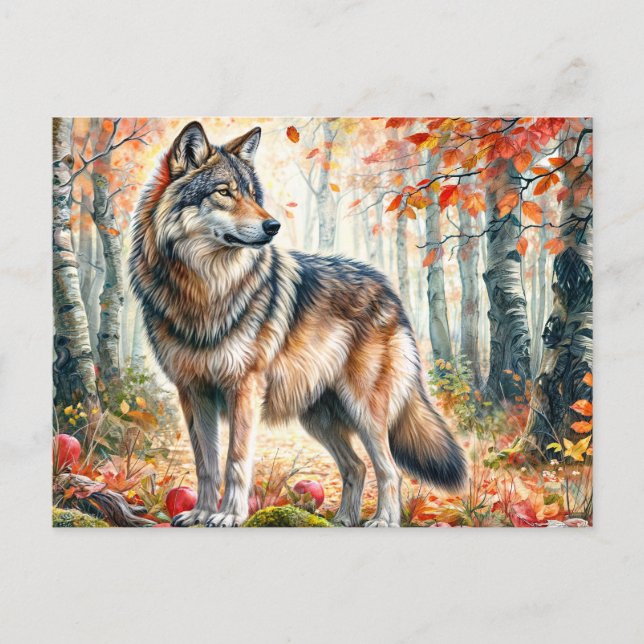 Autumn Wolf With Apples In Fall Forest Postcard (Front)