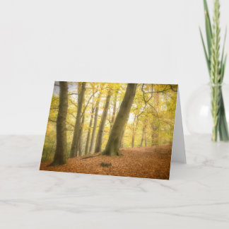 Autumn Woodland (4358) Card
