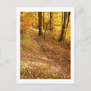 Autumn Woodland: Cumbria Postcard