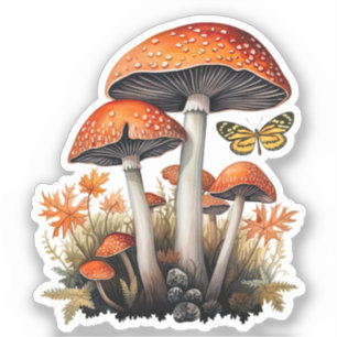 Autumn Woodland Mushrooms