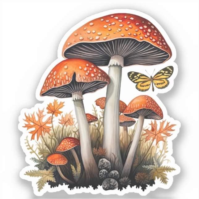 Autumn Woodland Mushrooms (Front)