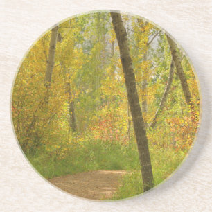 Autumn Woodlands Coaster