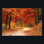 Autumn Woods Photo Print<br><div class="desc">Autumn Woods</div>