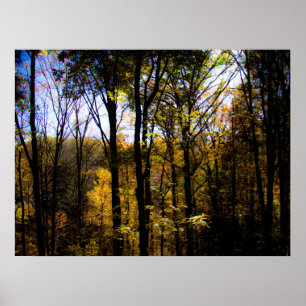 Autumn Woods Poster