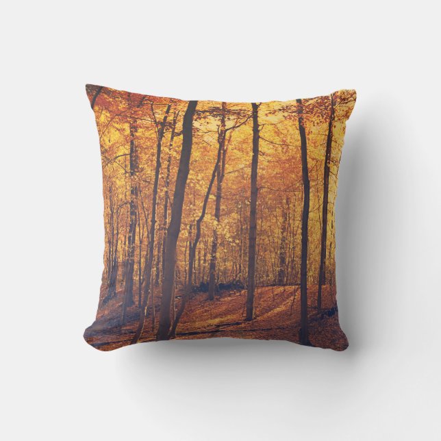 Autumn Woods Sunlit Trees Outdoor Throw Pillow (Front)