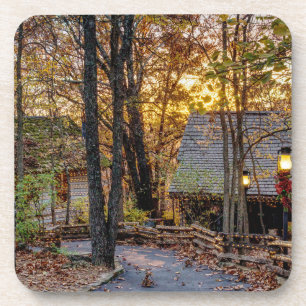 Autumn Woods Sunset Walkway Coaster