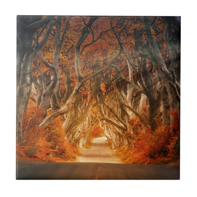 Autumn Woods Thicket Path Tile (Front)