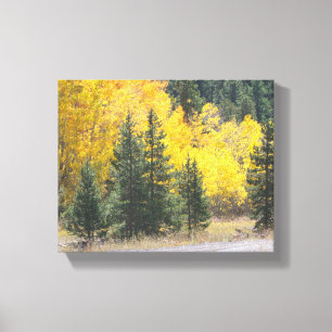 Autumn Yellow Aspen Trees Mountain Landscape Photo Canvas Print