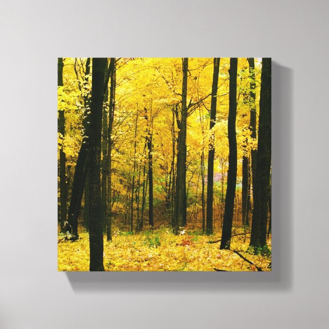 Autumn Yellow Forest Canvas Print (Front)