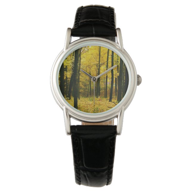 Autumn Yellow Forest Watch (Front)