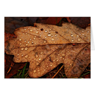 Autumn yellow leaf card