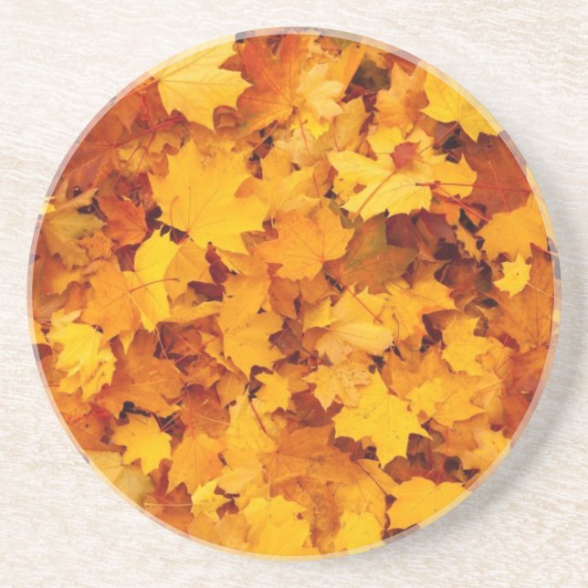 Autumn Yellow Maple Leaves Coaster (Front)