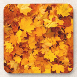 Autumn Yellow Maple Leaves Coaster