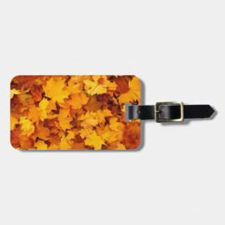 Autumn Yellow Maple Leaves Luggage Tag