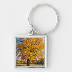 Autumn Yellow Sugar Maple Key Ring