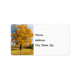 Autumn Yellow Sugar Maple Label