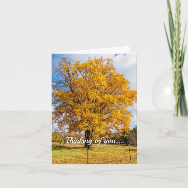 Autumn Yellow Sugar Maple Thinking Of You Card (Front)