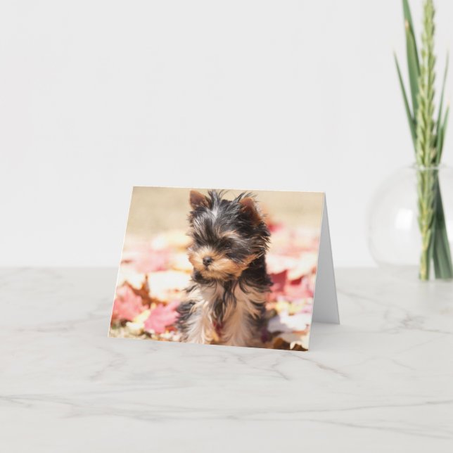 Autumn Yorkie Puppy Note Card (Front)