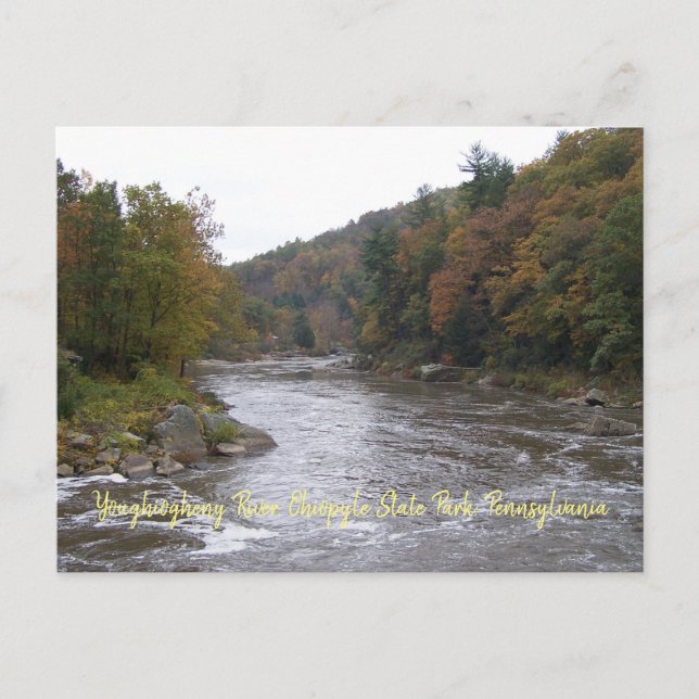 Autumn Yough Postcard (Front)