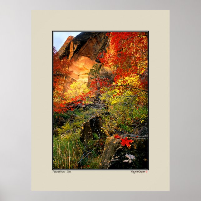 Autumn - Zion National Park Poster (Front)