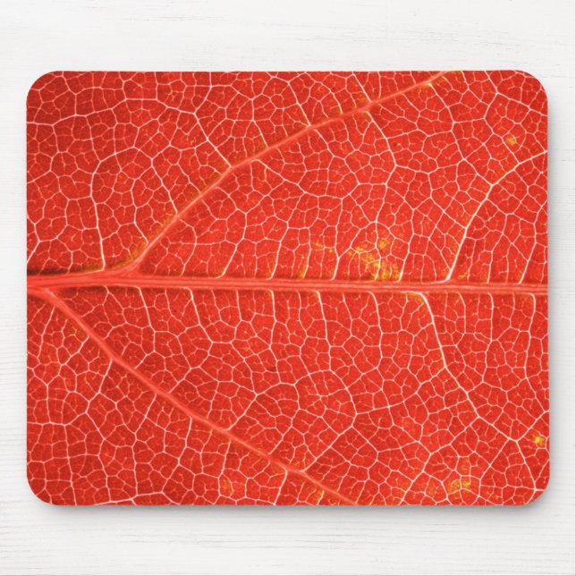 Autumnal Leaf Mouse Pad (Front)