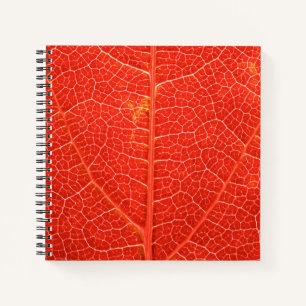 Autumnal Leaf Notebook