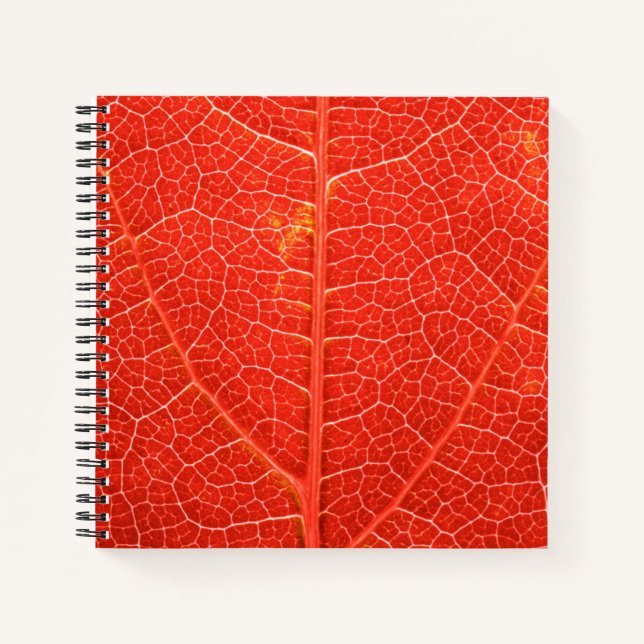 Autumnal Leaf Notebook (Front)