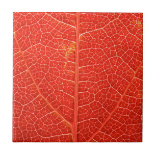 Autumnal Leaf Tile