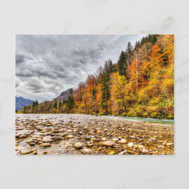 Autumnal River Lammer  Postcard (Front)
