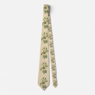 Autumnal Warbler from Audubon's Birds of America Tie