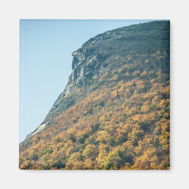 Autumn's Blanket Magnet (Front)