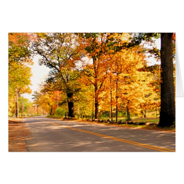 AUTUMNS GLEAM (Front Horizontal)