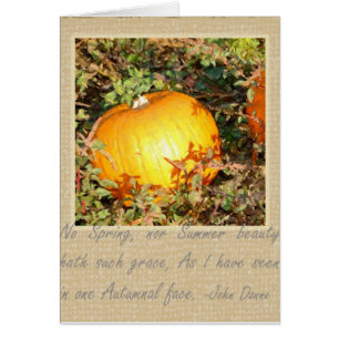 Autumn's Grace