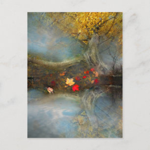 Autumns harvest ,postcard postcard