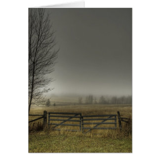 Autumns Pasture
