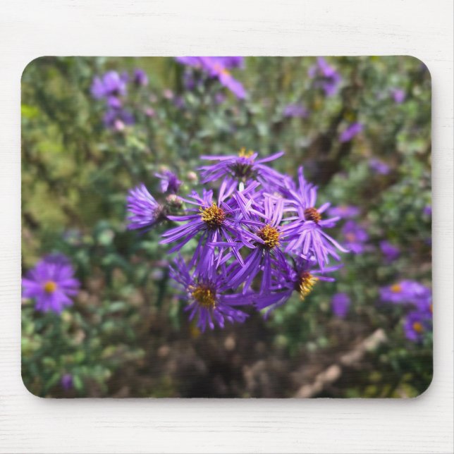 Autumn's Purple Glow Mouse Pad (Front)