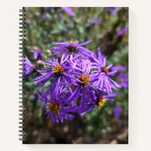 Autumn's Purple Glow Notebook