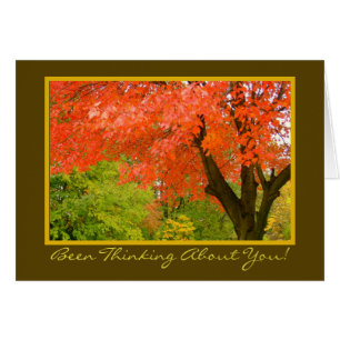 Autumn's Splendour/Thinking Of You/greeting card