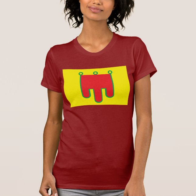 Auvergne Flag T-shirt (Front)