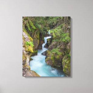 Avalanche Creek, Glacier National Park, Montana Canvas Print